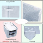 Cloth Organizer - Non Woven Foldable Cloth Organizer